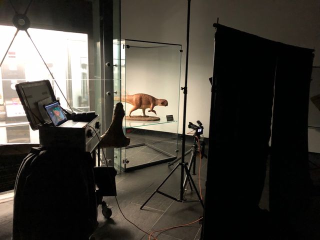 Fotostudio mit Roboterhund vor grünem Hintergrund und Kameraausrüstung.